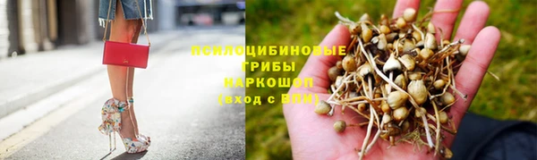 прущая мука Богданович